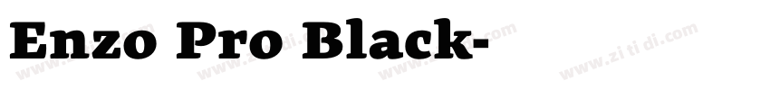 Enzo Pro Black字体转换